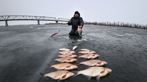 ПРОСТЫЕ ДЕРЕВЯШКИ, А КАК ЛОВЯТ РЫБУ! ЛЕЩИ ПРУТ - ЛЕСКА ТРЕЩИТ! Крупная густера ловится. ИДЕАЛЬНО!