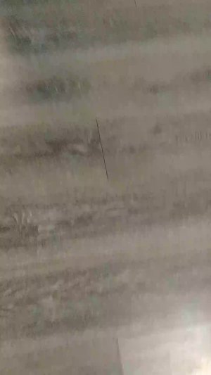 Домашний стрим