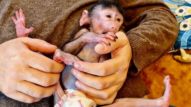 ОБХОХОЧЕШЬСЯ! Николь с Дениса ПРОСТО НЕ СЛЕЗАЕТ, а Финя РЕВНУЕТ И СТАСКИВАЕТ ЕЕ😅 смотреть онлайн