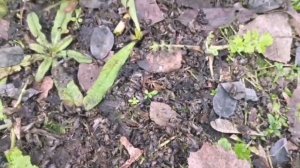 На заметку.