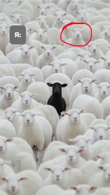 Стоимость штор на заказ. Почему дизайнерские шторы не могут стоить дешево?