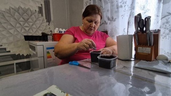 Марина я посеяла помидоры/ просто болтаю/