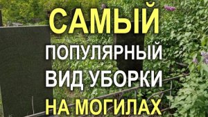 Объект 812M - Самый популярный вид уборки на могилах в Кривом Роге