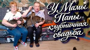 У наших Мамы Папы клубничная свадьба.