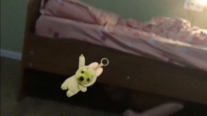 снимала моя подруга монтировал я "20 ночей с подкроватным монстром 1 часть"