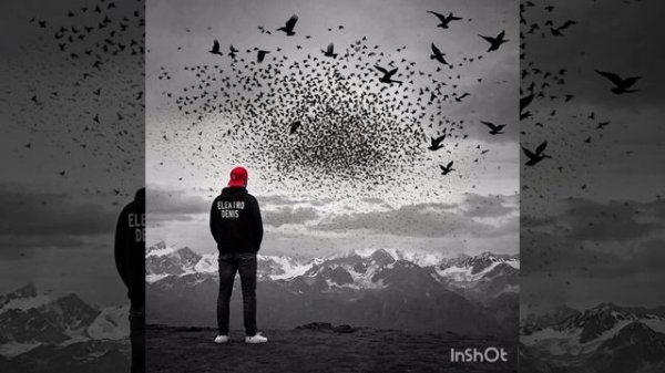 Electro Denis- Вороны