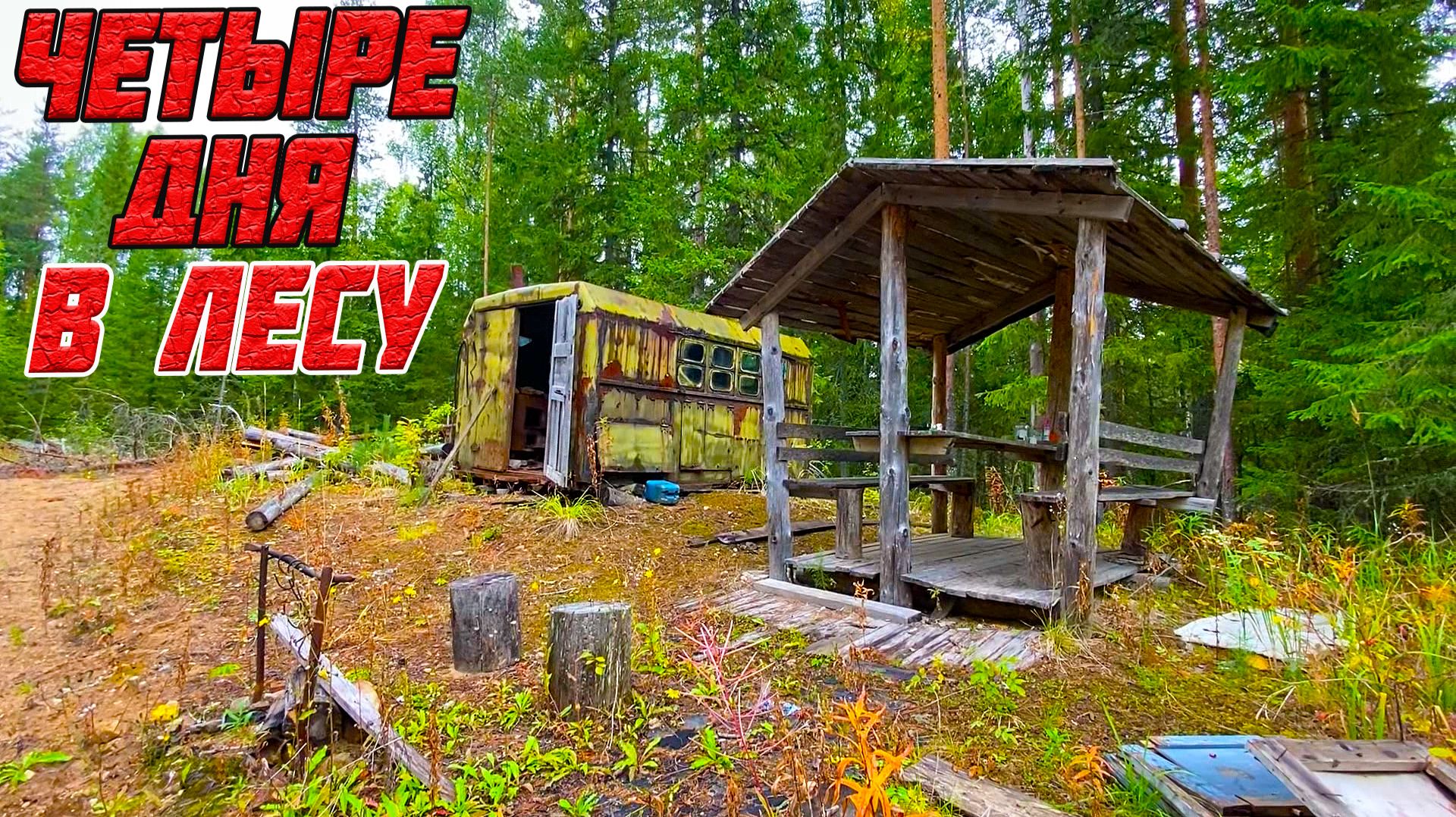 4 ДНЯ В ЛЕСУ. Живем в тайге. Дальний кордон, ремонт крыши, ягоды, грибы