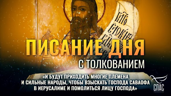 «И будут приходить многие племена и сильные народы, чтобы взыскать Господа Саваофа...» / Писание дня
