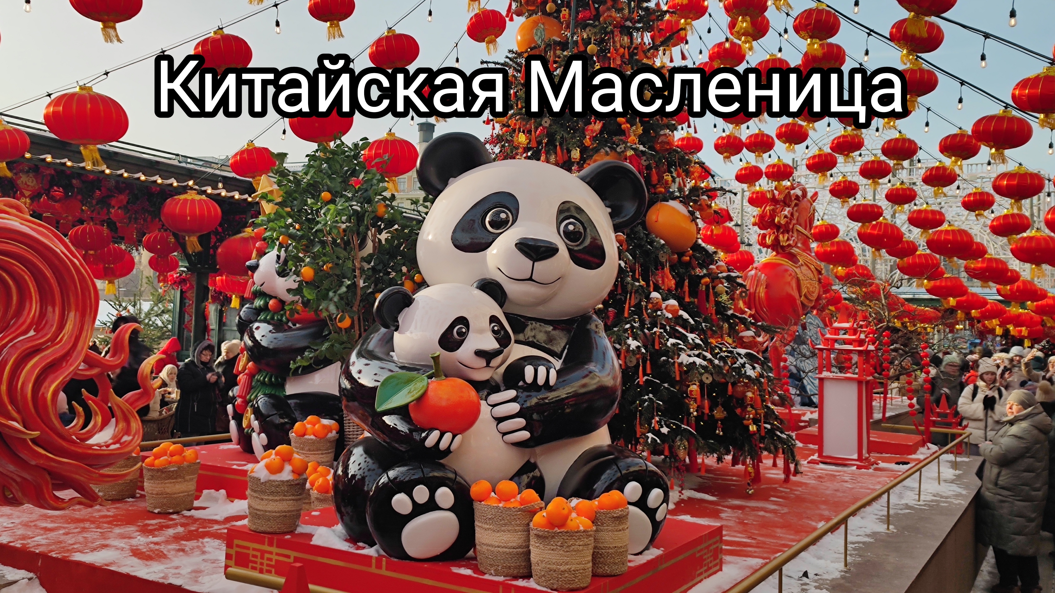 Китайский Новый год и Масленица в Москве или КОТоБУДНИ от 18.02.2026г. смотреть онлайн