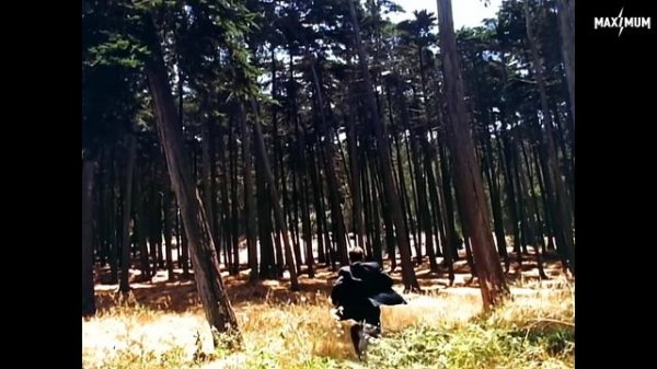 Cake — The Distance