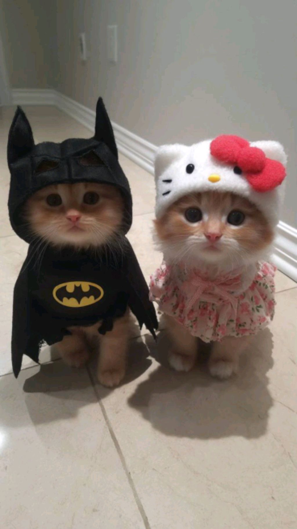 перчик Чили. смотреть онлайн