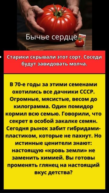 Бычье сердце смотреть онлайн