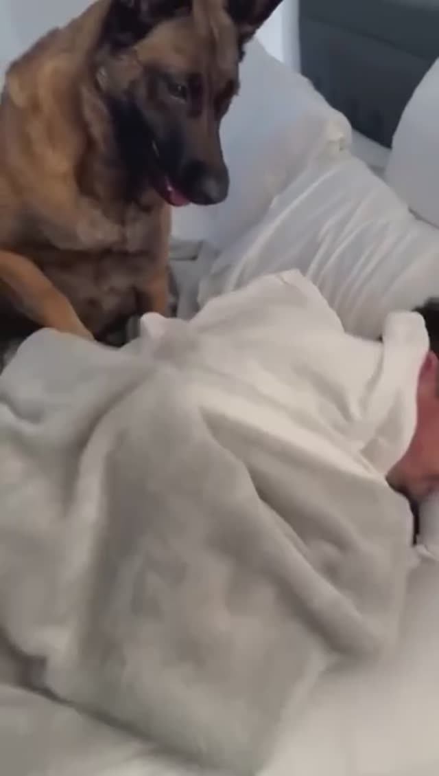 Хорошие будильники