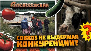 Магазины совхоза «Алексеевский» закрылись по всей Уфе. Что происходит с легендарным предприятием?