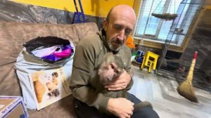 Владик сначала пол-часа бегает за Люсей, потом 5 минут обнимается! А у Люси РОСТУТ КЛЫКИ!!!