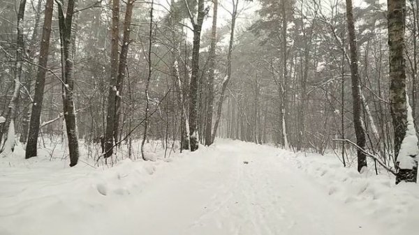 в парке Москвы 
#такаяпогода #снег #февраль2026