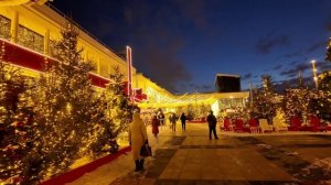 МОРОЗНЫЙ ВЕЧЕР В ПАРКЕ ГОРЬКОГО 2026 Прогулка по заснеженной Москве