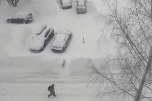 Цыклон  февраль метет