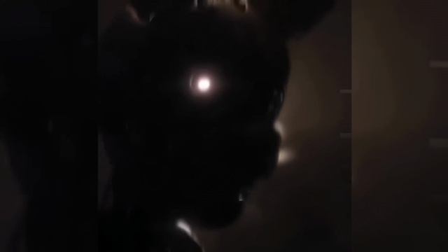 • ANTROPOLOGIA TERRAVERAL (MEGA SLOWED) смотреть онлайн