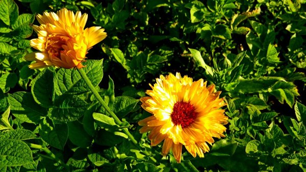 Прохладный день