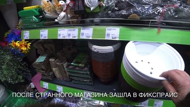 Открылся Новый магазин… странные впечатления… Горькое разочарование. смотреть онлайн