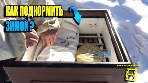 КАК ПОДКОРМИТЬ ПЧЕЛ ЗИМОЙ И РАННЕЙ ВЕСНОЙ? ПЧЕЛОВОДСТВО 26-04