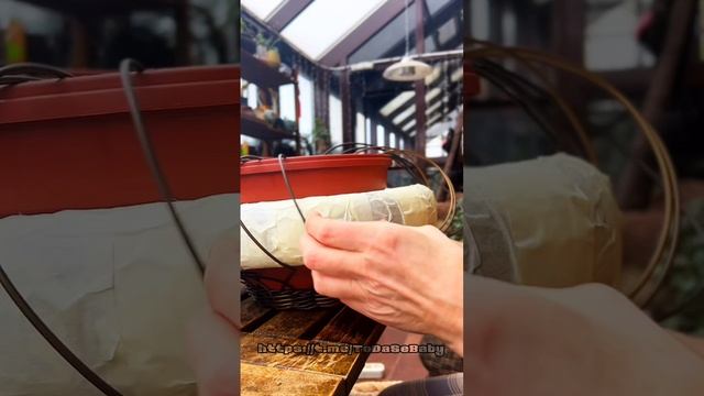 Мастер-класс «Кашпо из ротанга на палке» Мастер-класс «Кашпо из ротанга на палке»