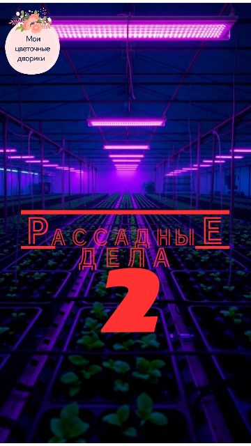🌱Рассадные дела 2 смотреть онлайн