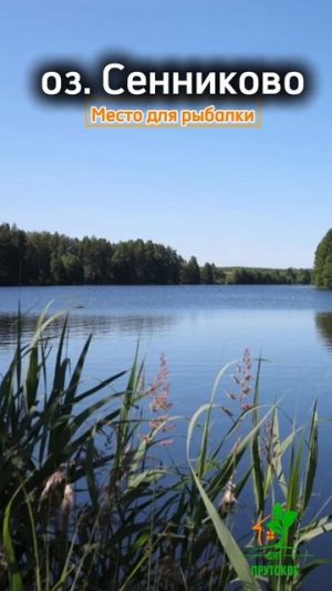 СНТ Прутское