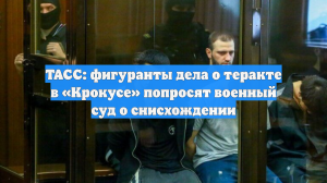 Обвиняемые по делу о теракте в «Крокусе» попросят суд о снисхождении