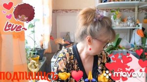 🚀🖋️ ПЕРЕЕХАЛА С СЕЙШЕЛОВ НА МАЛЬДИВЫ💃🔥 МОИ БУДНИ 🖋️🚀