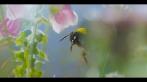 Официальный трейлер "Приключения настоящего Флика / A Real Bugs Life (2024)"