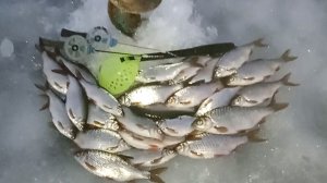 Безмотылка подводная камера и желание поймать в февральскую распутицу.