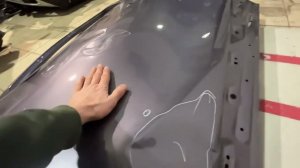 Дверь передняя левая омода с5 19999