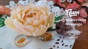 ПИОН ИЗ ПЛАСТИЧНОГО ШОКОЛАДА