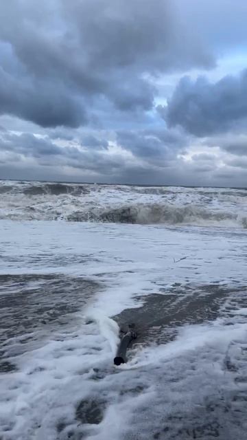 Новомихайловский циклон Валли 19.02.26