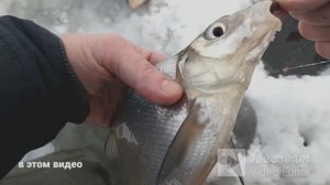 рыбалка на чёртика.ЛЕЩ КЛЮЁТ!