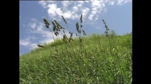 Неизвестный Хейердал