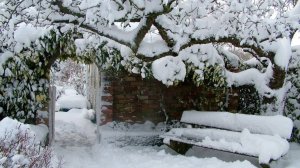 Наш заснеженный двор