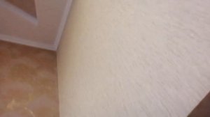 росказываю про мою
кошку