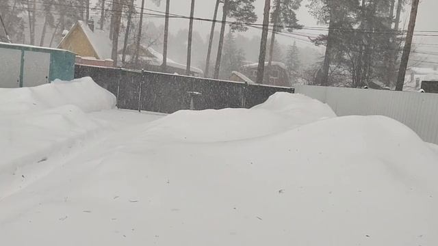 Я К НЕЙ НА ВЫ, ОНА НЕ ЗНАЕТ КУЛЬТУРЫ ОБЩЕНИЯ, УЧИСЬ ОБЩАТЬСЯ смотреть онлайн