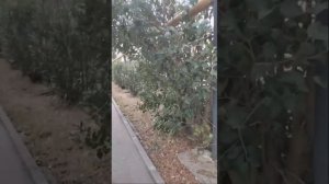 ИДЁМ СДАВАТЬ МЕТАЛЛ