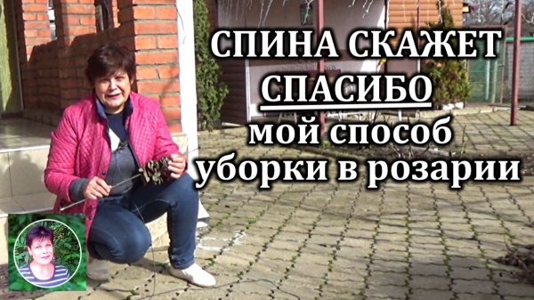 Мой копеечный способ собрать больные листья роз ранней весной, не наклоняясь к земле