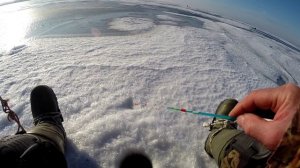 Реальная рыбалка со льда Маныча 2026 г. Февраль. часть 1 От Юрия Философа