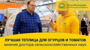 Лучшая теплица для огурцов и томатов - мнение доктора сельскохозяйственных наук