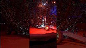 Байк мото-шоу цирк Граф Орлов это просто необыкновенно