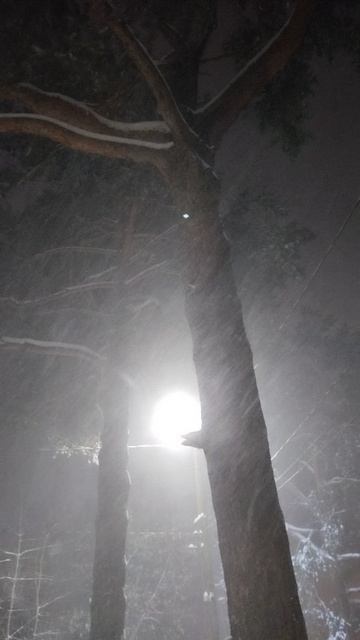 PXL_20260219_064413932 смотреть онлайн