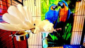 Наконец -то нам привезли долгожданное оборудование и Ярослав помог его занести пока нет Влада!