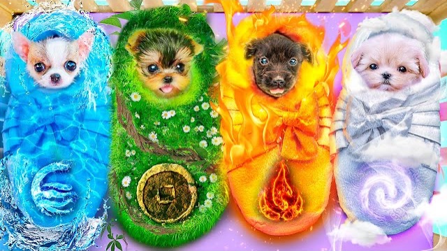 МЫ ПРИЮТИЛИ ЖИВОТНЫХ. СТРОИМ ДОМИКИ ОГОНЬ, ВОДА, ЗЕМЛЯ И ВОЗДУХ смотреть онлайн