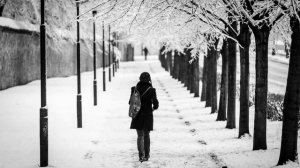 ЖИЛИ _ БЫЛИ (кавер) - исполнение Жанны Вишняковой Арс